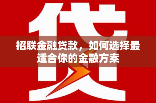 西青招联金融贷款，如何选择最适合你的金融方案