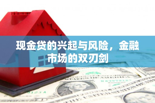 西青现金贷的兴起与风险，金融市场的双刃剑
