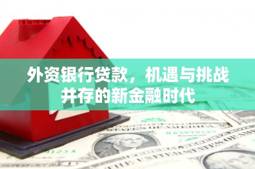 西青外资银行贷款，机遇与挑战并存的新金融时代