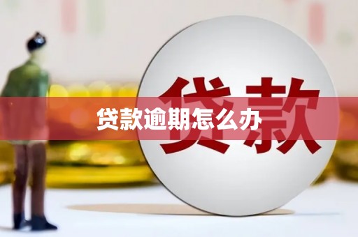 西青贷款逾期怎么办