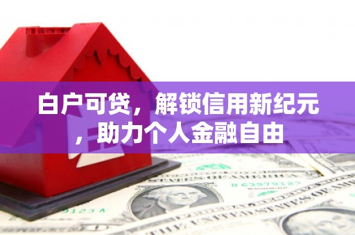 西青白户可贷，解锁信用新纪元，助力个人金融自由