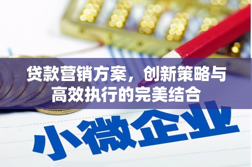 西青贷款营销方案，创新策略与高效执行的完美结合