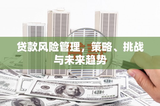 西青贷款风险管理，策略、挑战与未来趋势