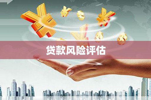西青贷款风险评估