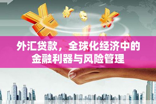 西青外汇贷款，全球化经济中的金融利器与风险管理