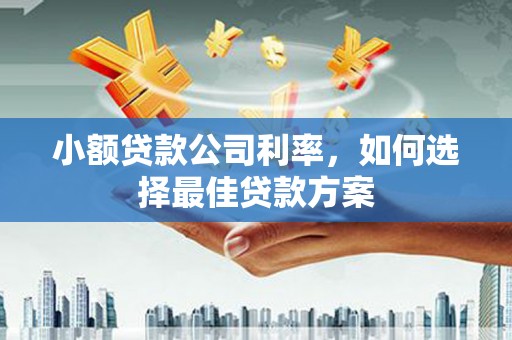 西青小额贷款公司利率，如何选择最佳贷款方案