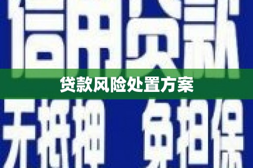西青贷款风险处置方案