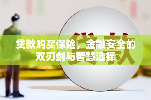 西青贷款购买保险，金融安全的双刃剑与智慧选择