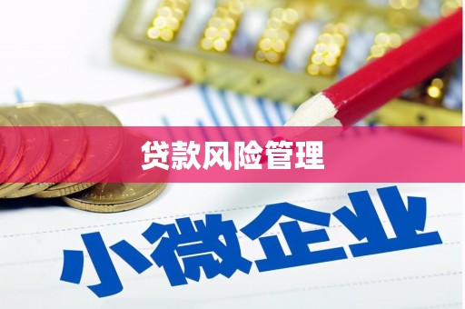西青贷款风险管理