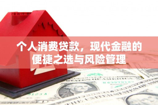 西青个人消费贷款，现代金融的便捷之选与风险管理