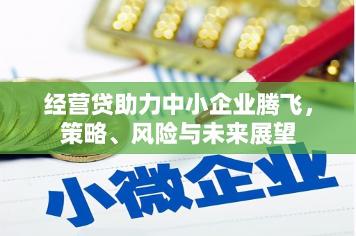 西青经营贷助力中小企业腾飞，策略、风险与未来展望