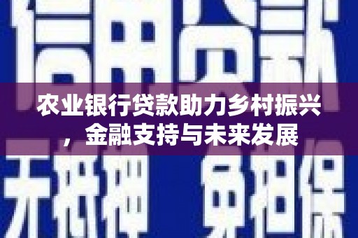西青农业银行贷款助力乡村振兴，金融支持与未来发展