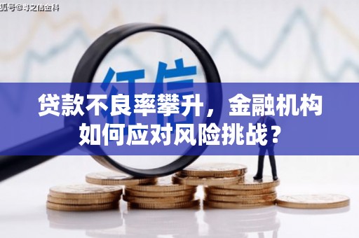 西青贷款不良率攀升，金融机构如何应对风险挑战？