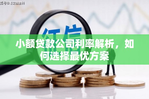 西青小额贷款公司利率解析，如何选择最优方案