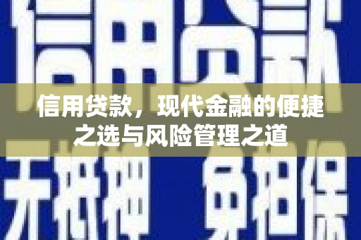 西青信用贷款，现代金融的便捷之选与风险管理之道