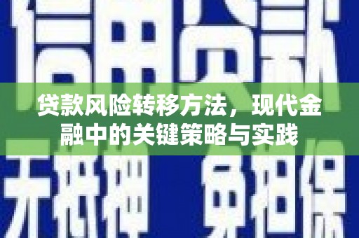 西青贷款风险转移方法，现代金融中的关键策略与实践