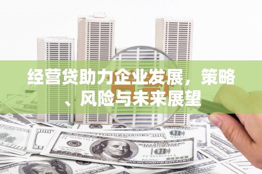 西青经营贷助力企业发展，策略、风险与未来展望