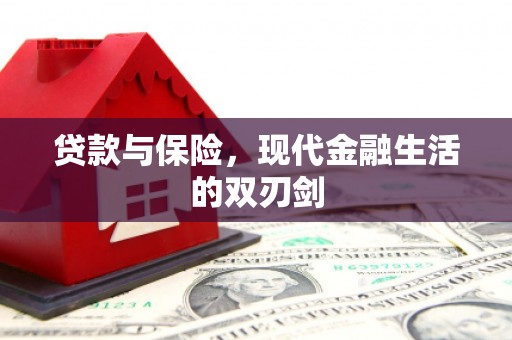 西青贷款与保险，现代金融生活的双刃剑