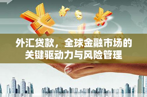 西青外汇贷款，全球金融市场的关键驱动力与风险管理