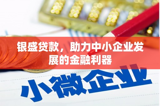 西青银盛贷款，助力中小企业发展的金融利器