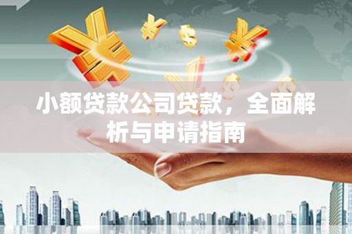 西青小额贷款公司贷款，全面解析与申请指南