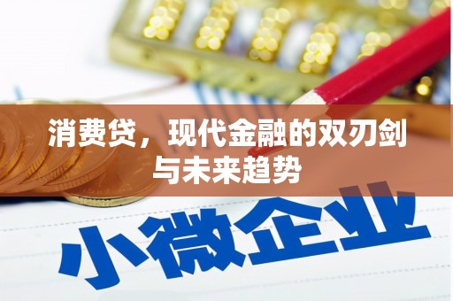 西青消费贷，现代金融的双刃剑与未来趋势