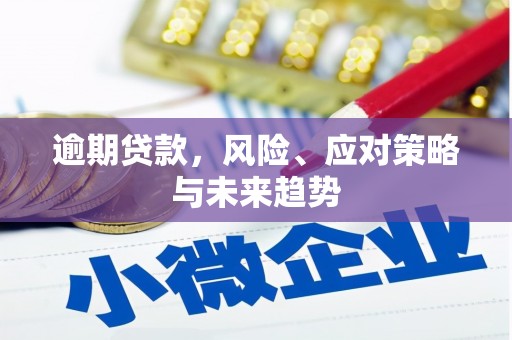 西青逾期贷款，风险、应对策略与未来趋势