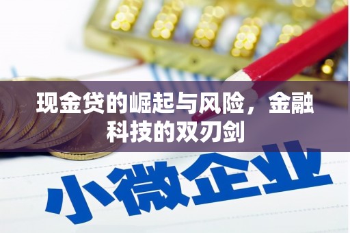 西青现金贷的崛起与风险，金融科技的双刃剑