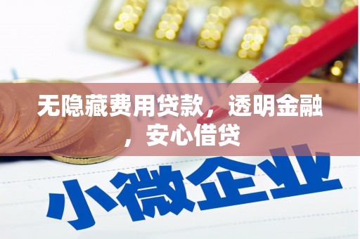 西青无隐藏费用贷款，透明金融，安心借贷