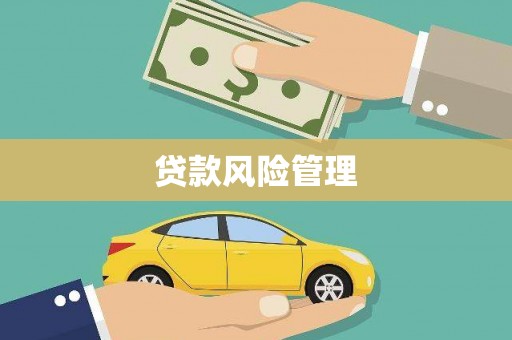 西青贷款风险管理