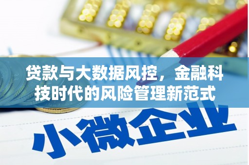 西青贷款与大数据风控，金融科技时代的风险管理新范式