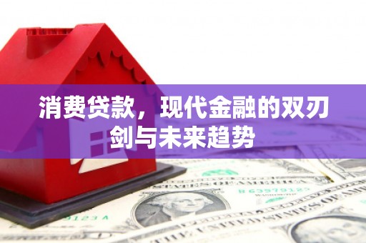 西青消费贷款，现代金融的双刃剑与未来趋势