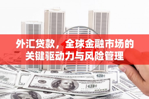 西青外汇贷款，全球金融市场的关键驱动力与风险管理