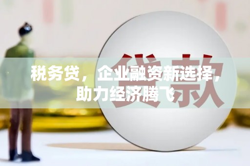 西青税务贷，企业融资新选择，助力经济腾飞