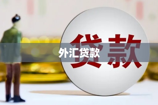 西青外汇贷款