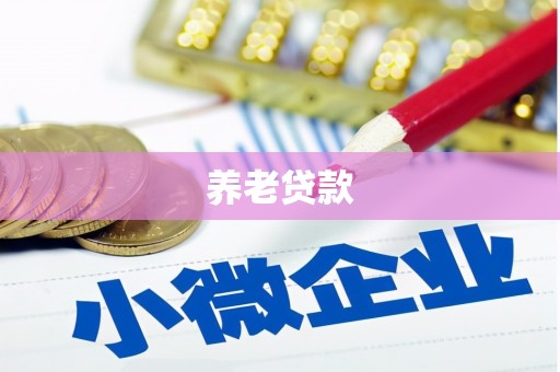 西青养老贷款