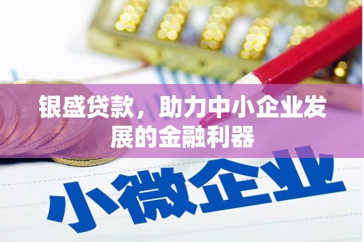 西青银盛贷款，助力中小企业发展的金融利器