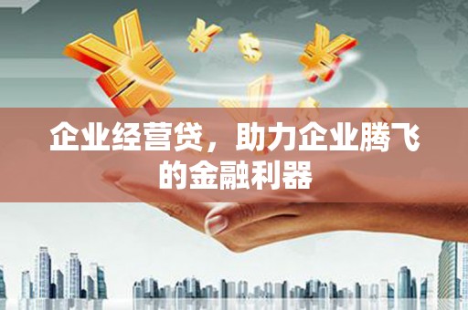 西青企业经营贷，助力企业腾飞的金融利器