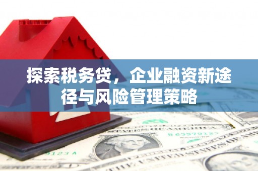 西青探索税务贷，企业融资新途径与风险管理策略