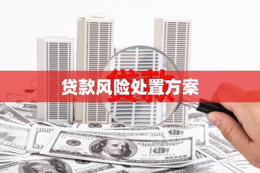 西青贷款风险处置方案