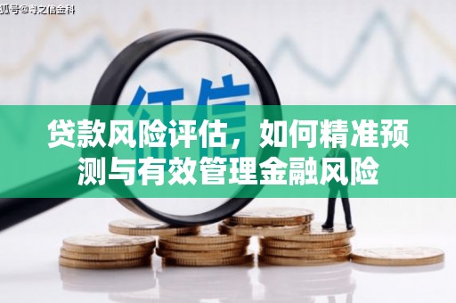 西青贷款风险评估，如何精准预测与有效管理金融风险