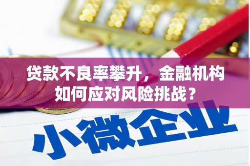 西青贷款不良率攀升，金融机构如何应对风险挑战？