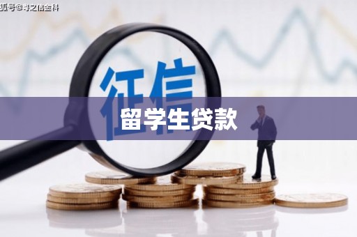 西青留学生贷款