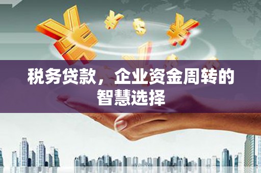 西青税务贷款，企业资金周转的智慧选择