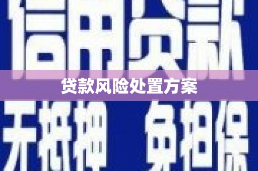 西青贷款风险处置方案