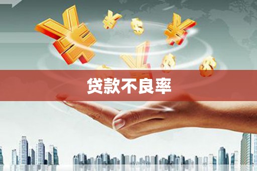 西青贷款不良率