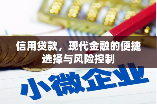 西青信用贷款，现代金融的便捷选择与风险控制