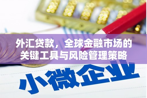 西青外汇贷款，全球金融市场的关键工具与风险管理策略