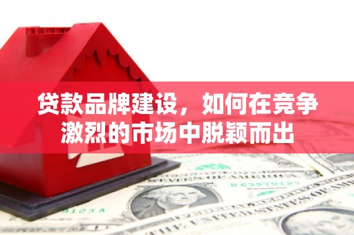 西青贷款品牌建设，如何在竞争激烈的市场中脱颖而出
