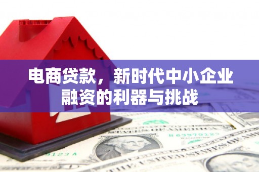 西青电商贷款，新时代中小企业融资的利器与挑战